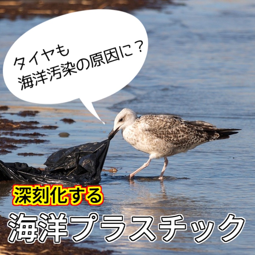 18深刻！海洋プラスチック問題_2